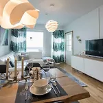Vasko Luxurious Suites, Nouka *