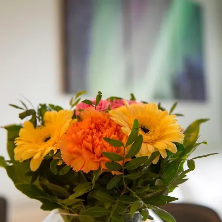 Vasko Luxurious Suites, Nouka Apartman