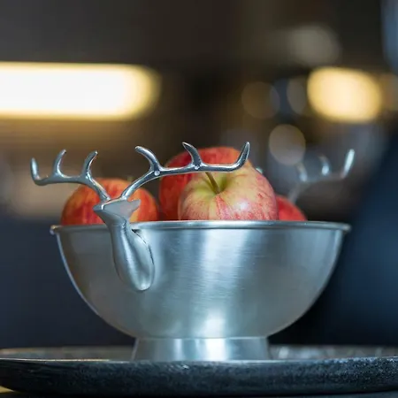 Apartman Vasko Luxurious Suites, Nouka Rovaniemi