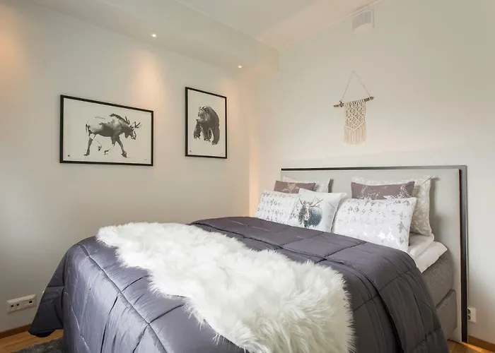 Διαμέρισμα Vasko Luxurious Suites, Nouka Ροβανιέμι