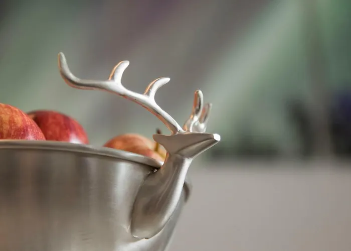 Vasko Luxurious Suites, Nouka * Ροβανιέμι